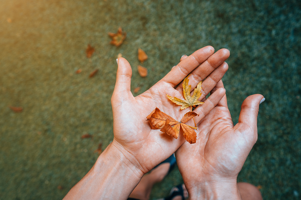Percorso terapeutico: valutazione, obiettivi condivisi, sedute e follow-up personalizzati