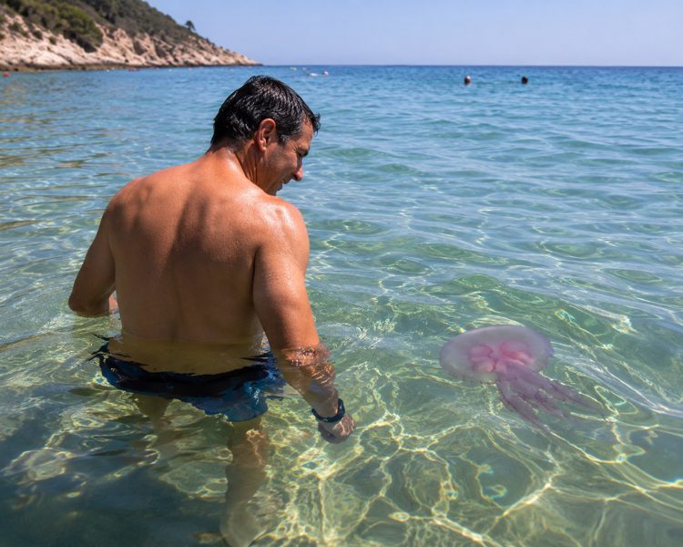 Medusa vicino a un bagnante in acqua bassa nel mare Mediterraneo.