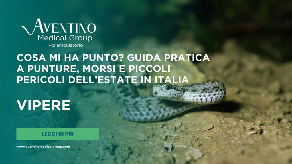 Morso di vipera: sintomi, cosa fare subito e quando andare in Pronto Soccorso