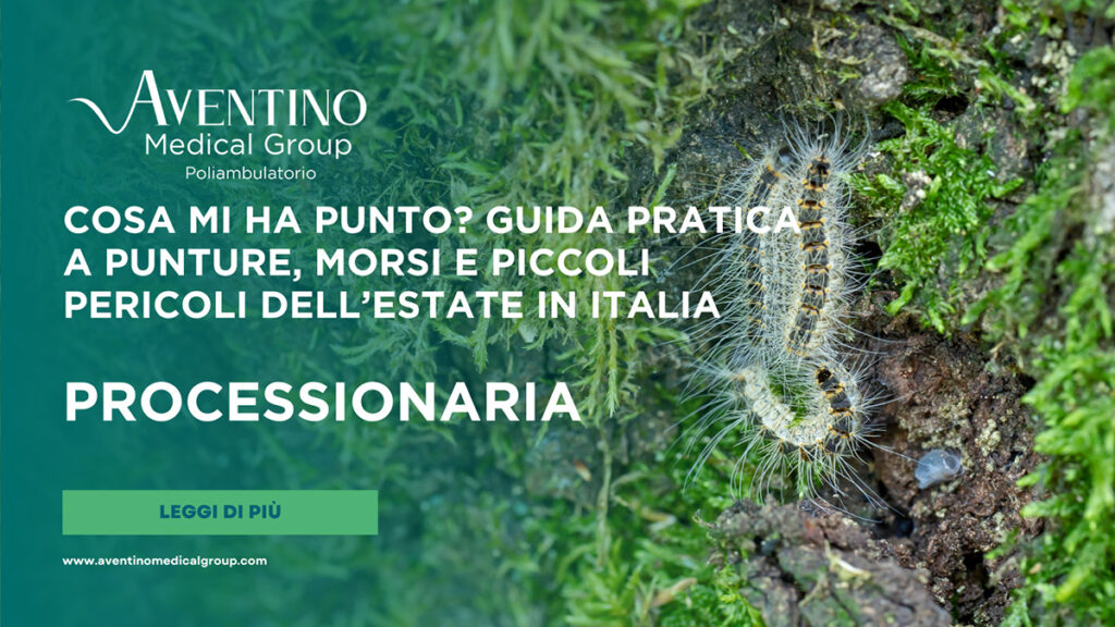 Processionaria: sintomi sulla pelle, negli occhi e nelle vie respiratorie, cosa fare dopo il contatto