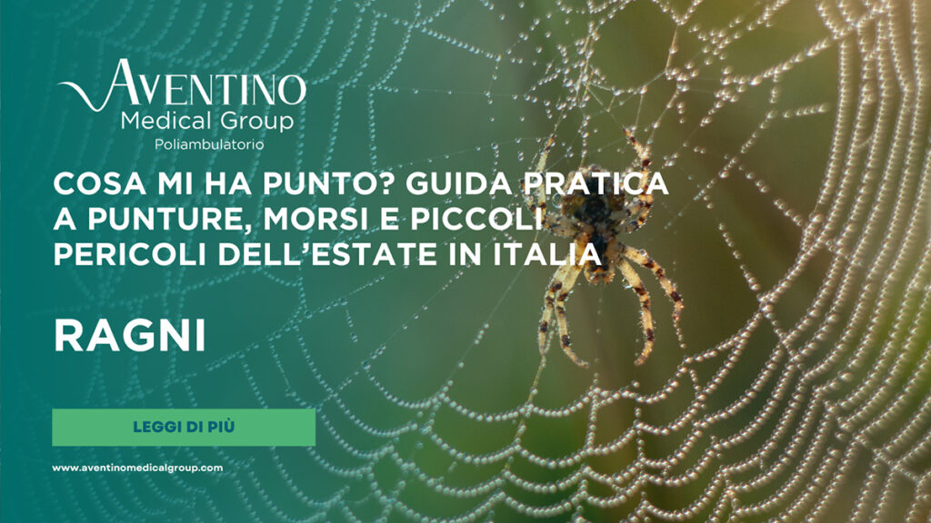 Morso di ragno violino e malmignatta: sintomi, foto, cosa fare e quando preoccuparsi