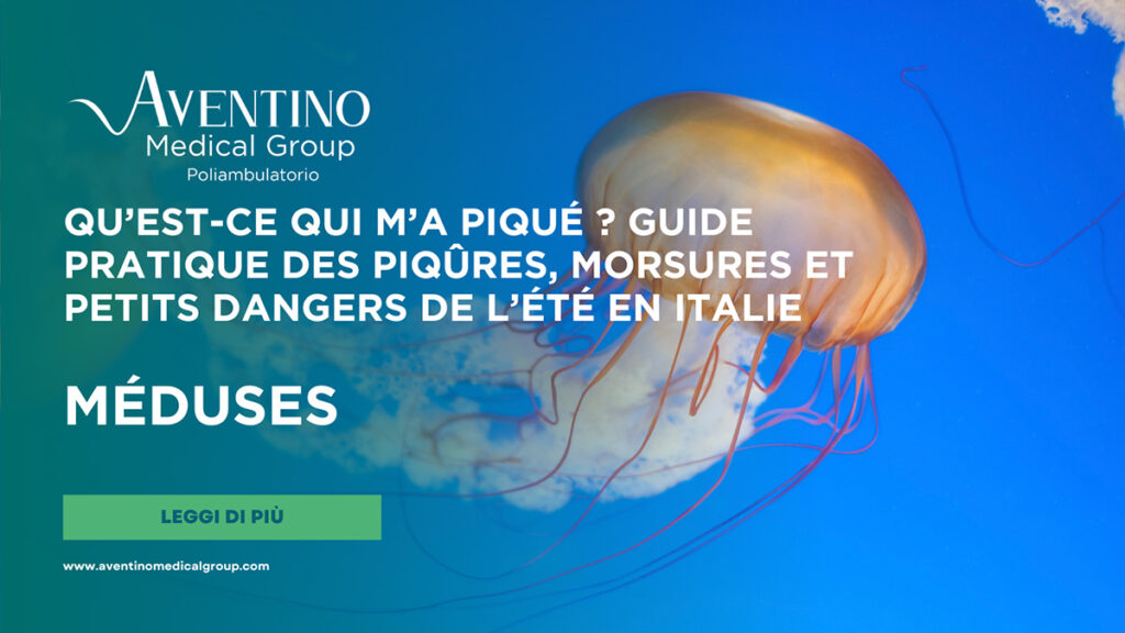 Piqûre de méduse : que faire immédiatement, traitements efficaces et erreurs à éviter
